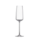 Set mit 6 Sektgläsern Flûte, Verkostungsgläser für Küche & Bar, 250 ml, Siesta Verkauf