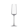 Set mit 6 Sektgläsern Flûte, Verkostungsgläser für Küche & Bar, 250 ml, Siesta Verkauf