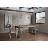 Ausziehbarer Tisch 18 Plätze im Industriedesign 90×180-440 Tecno Evolution Lagerbestand