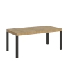 Ausziehbarer Esstisch im Industriedesign aus Metall und Holz für 18 Personen 90×180-440 Everyday Aktion