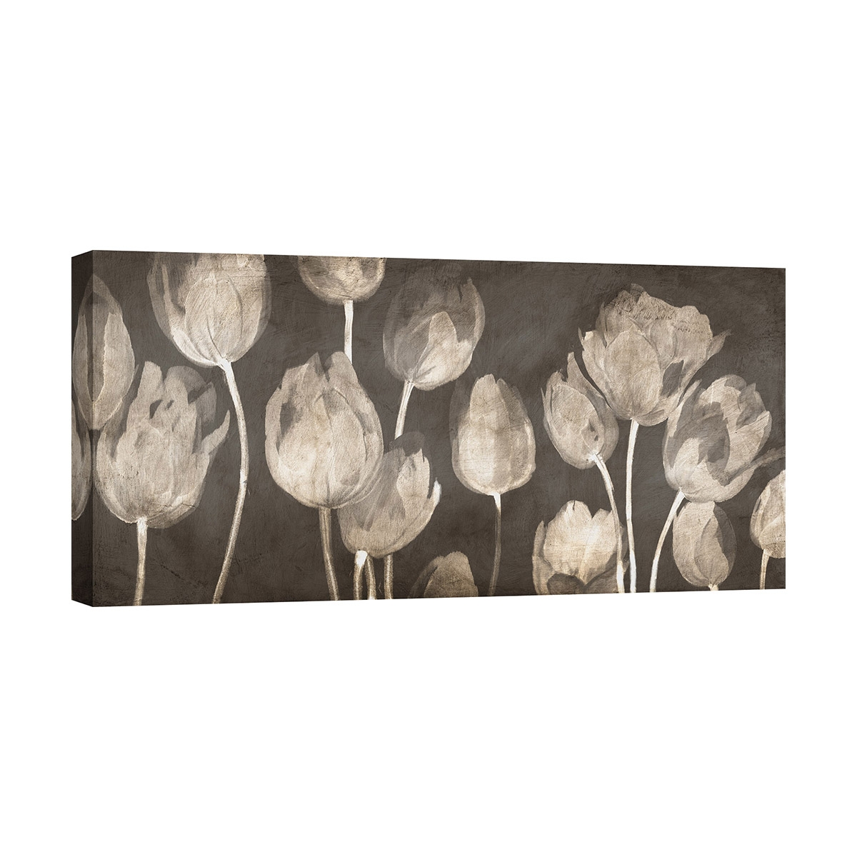 Moderne Leinwanddruck "Washed Tulips" von Luca Villa mit Tulpenmotiv Aktion Moderne Leinwanddruck "Washed Tulips" von Luca Villa mit Tulpenmotiv Aktion