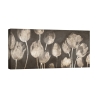 Moderne Leinwanddruck "Washed Tulips" von Luca Villa mit Tulpenmotiv Aktion