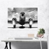 Vintage-Flugzeug Wandbild auf Leinwand Schwarz-Weiß Abhebend Sales