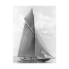 Leinwanddruck The Vanitie During the America's Cup, 1910 Edwin Levick Angebot