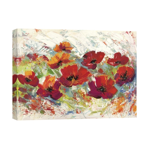 Blumenbild Leinwanddruck Mohnblumen im Sommer Luigi Florio Aktion