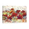 Blumenbild Leinwanddruck Mohnblumen im Sommer Luigi Florio Aktion