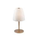 Goldene Metall-Tischlampe mit weißem Glasdiffusor Ares T Aktion