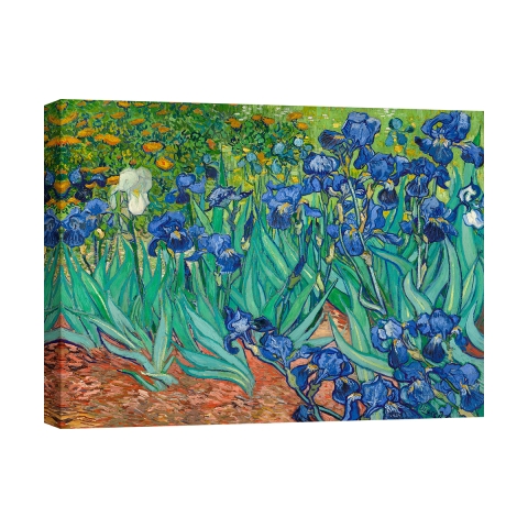 Leinwanddruck Gemälde im impressionistischen Stil Iris Vincent van Gogh Aktion