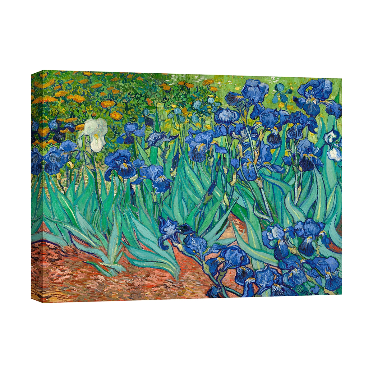 Leinwanddruck Gemälde im impressionistischen Stil Iris Vincent van Gogh Aktion