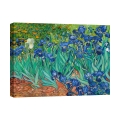 Leinwanddruck Gemälde im impressionistischen Stil Iris Vincent van Gogh Aktion