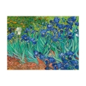 Leinwanddruck Gemälde im impressionistischen Stil Iris Vincent van Gogh Angebot