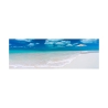 Farbiger Fotodruck auf Leinwand Tropischer Strand in Cayo Largo Kuba Angebot