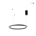 LED-Hängelampe Design Rund Minimalistisch 80cm Hoop Aktion