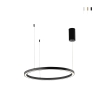 LED-Hängelampe Design Rund Minimalistisch 80cm Hoop Aktion