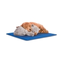 Mittelgroße Kühlmatte für Haustiere 50x40cm Puppy Sales
