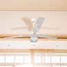 Deckenventilator mit Licht, 3 Flügel, 5 Geschwindigkeiten Windy Verkauf