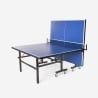 Professionelle Tischtennisplatte 274x152,5 cm Outdoor Indoor klappbar Ace Maße