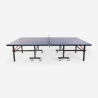 Professionelle Tischtennisplatte 274x152,5 cm Outdoor Indoor klappbar Ace Preis