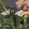 Gartenwerkzeug-Set zur Baumpflege Sales