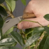Gartenwerkzeug-Set zur Baumpflege Rabatte