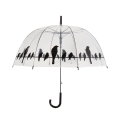 Transparenter Regenschirm mit Vogel-Dekoration auf der Leine Aktion