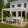 Bioklimatische Gartenpergola 3x4m manuell Aluminium Trinidad Modell