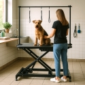 Elektrisch verstellbarer klappbarer Trimmtisch für Hunde und Katzen Chow Sales