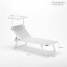 2er Set Aluminium Sonnenliegen mit Sonnendach Nettuno 