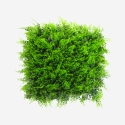 Künstlicher Zaun 50x50cm Kunstfarn 3D Garten Balkon Pritus Aktion