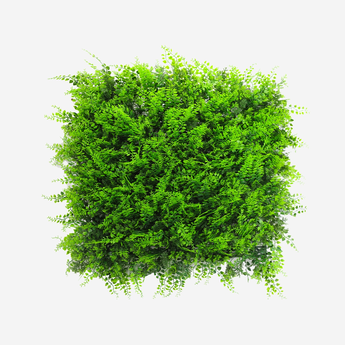 Künstlicher Zaun 50x50cm Kunstfarn 3D Garten Balkon Pritus Aktion Künstlicher Zaun 50x50cm Kunstfarn 3D Garten Balkon Pritus Aktion