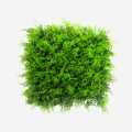 Künstlicher Zaun 50x50cm Kunstfarn 3D Garten Balkon Pritus Aktion