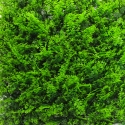Künstlicher Zaun 50x50cm Kunstfarn 3D Garten Balkon Pritus Sales