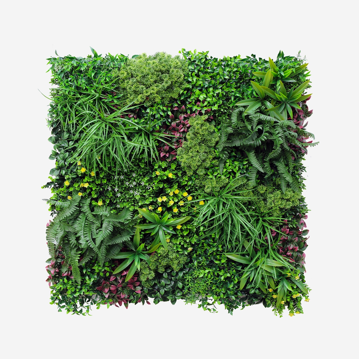 Künstliche realistische Hecke 100x100cm 3D Pflanzen im Freien Garten Ilex Aktion