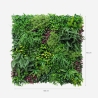 Künstliche realistische Hecke 100x100cm 3D Pflanzen im Freien Garten Ilex Rabatte