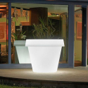 Leuchtende Vase für Designpflanzen Light Große Rutsche Big Gio Sales