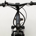 Elektrofahrrad E-Bike Cruiser Benutzerdefinierte 250w Rks Xr6 Shimano Eigenschaften