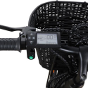 Elektrofahrrad E-Bike für Frau mit Korb 250w Rks Xt1 Shimano Katalog