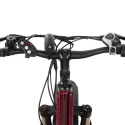 E-Bike Fahrräder Fatbike Mtb 250w Mt8 Shimano Lagerbestand