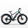 E-Bike Fahrräder Fatbike Mtb 250w Mt8 Shimano Sales