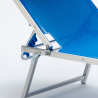 2er Set Aluminium Sonnenliegen mit Sonnendach Nettuno 