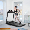 Teela Home Gym Digitales Klappbares Elektrisches Fitness-Laufband Sales