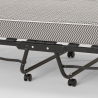 Klappbett mit Matratze und Mikrofaserlatten 80x190cm Demetra Preis