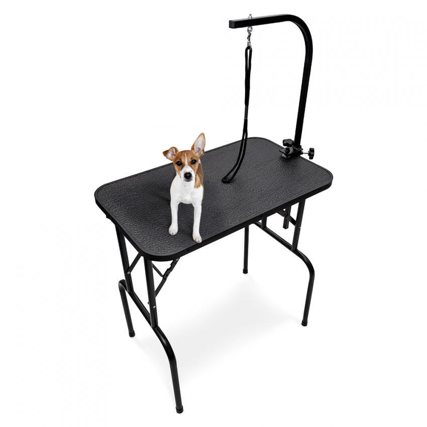 Canis Aluminium verstellbarer Katzen- und Hundepflegetisch Aktion Canis Aluminium verstellbarer Katzen- und Hundepflegetisch Aktion