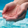 Ph Minus 1 lt Korrektorflasche für Poolmaster Poolwasser Verkauf