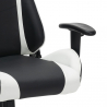 Ergonomischer Gaming-Stuhl Design-Richtungsarmlehnenkissen Silverstone Rabatte