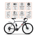 Elektrofahrrad E-Bike Citybike für Herren 250W Shimano W6 Modell
