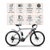 Elektrofahrrad E-Bike Citybike für Herren 250W Shimano W6 Modell