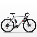 Elektrofahrrad E-Bike Citybike für Herren 250W Shimano W6 Eigenschaften