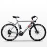 Elektrofahrrad E-Bike Citybike für Herren 250W Shimano W6 Eigenschaften