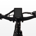 Elektrofahrrad E-Bike Citybike für Herren 250W Shimano W6 Preis